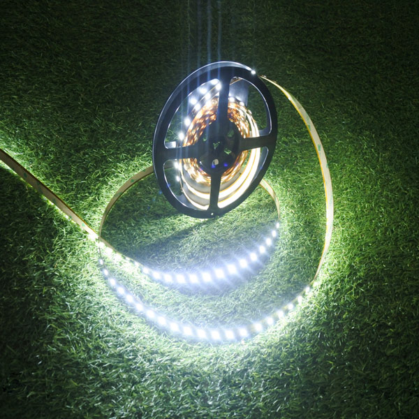 2835SMD LED Strip Lights for hotels bars nightclubs